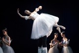 Wiener Staatsballett/Ashley Taylor