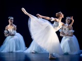 Wiener Staatsballett/Ashley Taylor