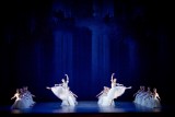 Wiener Staatsballett/Ashley Taylor