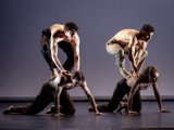 Wiener Staatsballett/Ashley Taylor