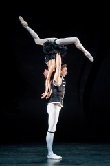 Wiener Staatsballett/Ashley Taylor