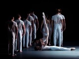 Copyright: Wiener Staatsballett/Ashley Taylor