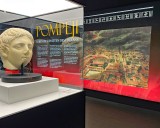 Exponate in der Ausstellung