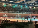 Impressionen Pferd Wels 2025